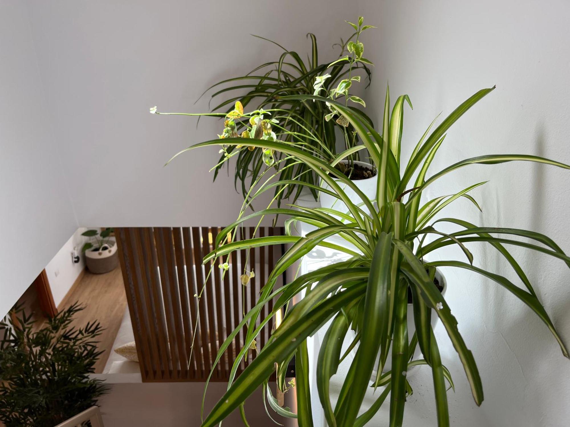 דוס הרמנאס Duplex Con Terraza Privada Y Parking A 15 Minutos De Sevilla מראה חיצוני תמונה